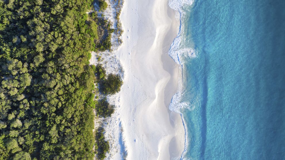 Hyams Beach in Jervis Bay, South Coast. Image Credit: Jordan Robins